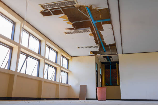 Best Water damage restoration near me  in Winnfield, LA