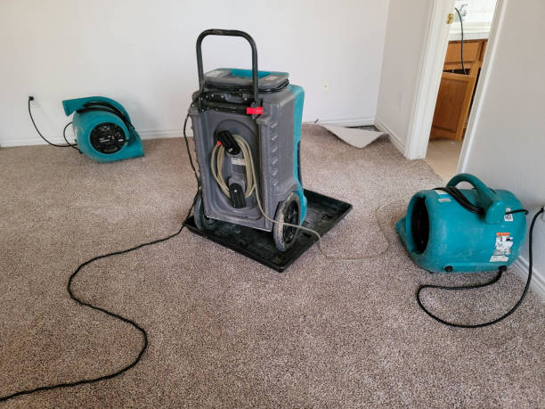 Best Local water damage restoration  in Winnfield, LA