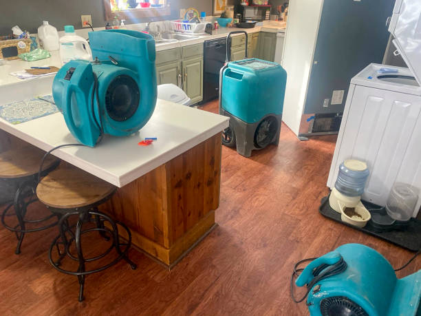 Water damage restoration mold remediation in Winnfield, LA