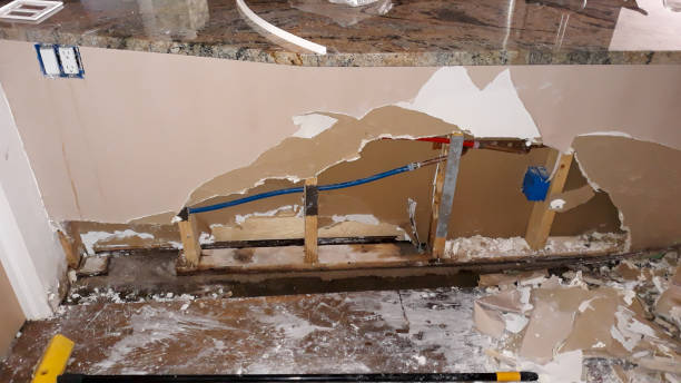 Best Flood restoration services  in Winnfield, LA