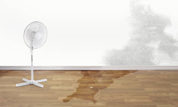 Best Emergency water damage restoration  in Winnfield, LA