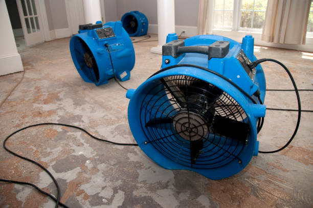 Best Flooded house restoration  in Winnfield, LA