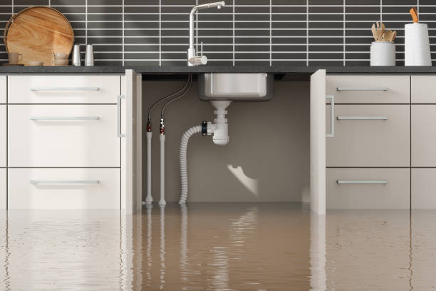 Best Sewage cleanup and water damage restoration  in Winnfield, LA