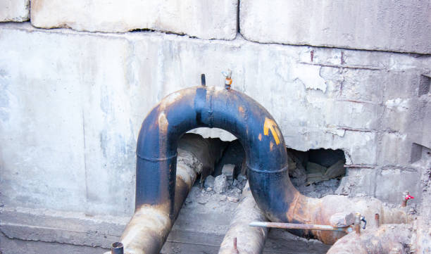 Best Water damage restoration company  in Winnfield, LA